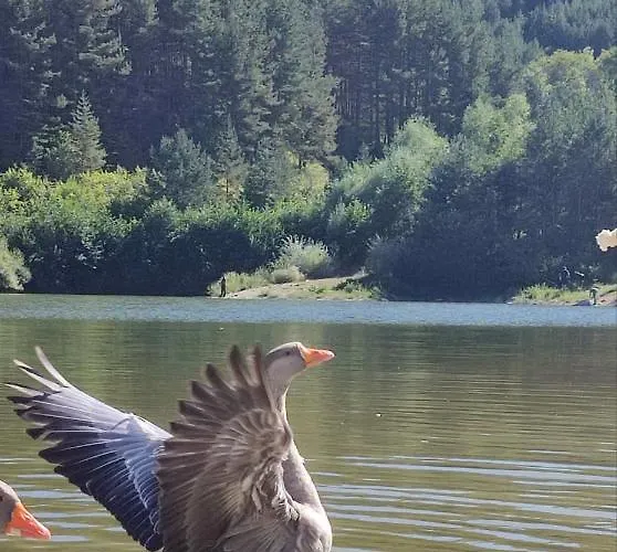 в204 Belvedere Club Apartmán *